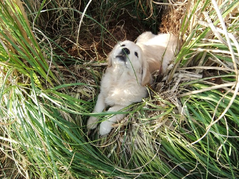 Les Bébés d'Eline