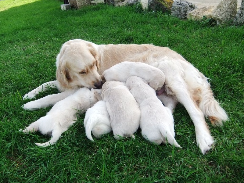 Eline et ses Bébés